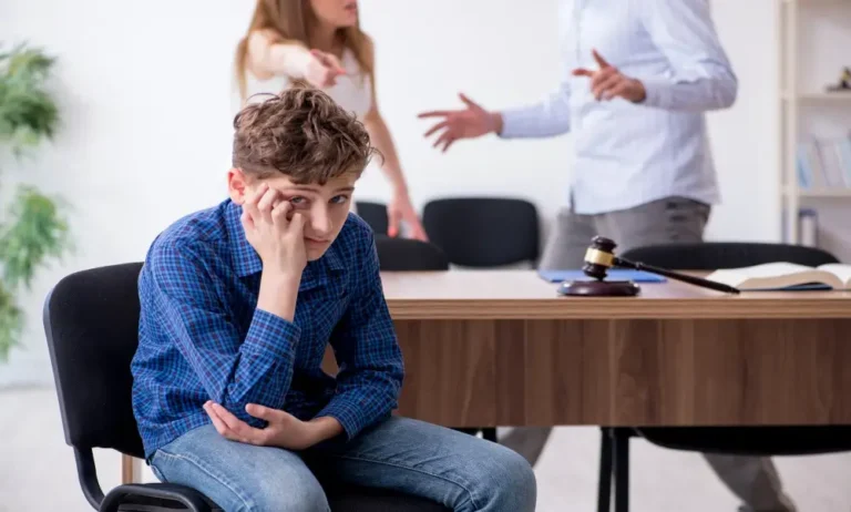 Legal Procedures for Handling Domestic Abuse in Court